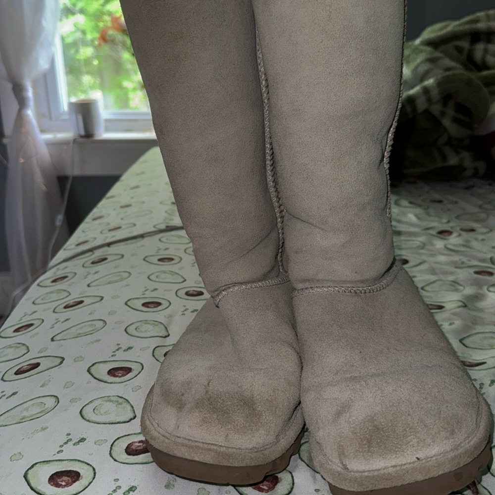 bearpaw boots